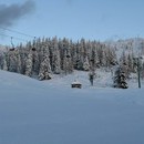 bojan_012_resize.jpg