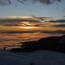 bojan_018_resize.jpg