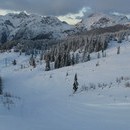 bojan_019_resize.jpg