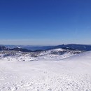 heleri_003_resize.jpg