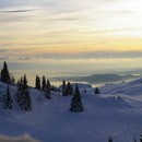 heleri_007_resize.jpg