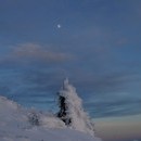 heleri_012_resize.jpg