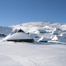 nurie_011_resize.jpg