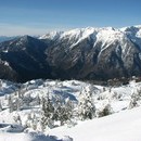 xavier_004_resize.jpg