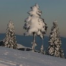 xavier_038_resize.jpg