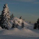 xavier_039_resize.jpg