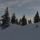 xavier_043_resize.jpg