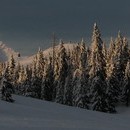 xavier_045_resize.jpg