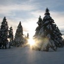 xavier_046_resize.jpg