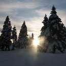xavier_047_resize.jpg