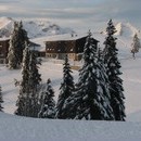 xavier_053_resize.jpg