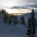 xavier_054_resize.jpg
