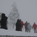 bojan2_014_resize.jpg