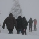 bojan2_015_resize.jpg