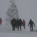 bojan2_017_resize.jpg