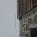 bojan2_018_resize.jpg