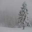 xavier_075_resize.jpg
