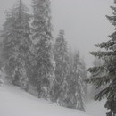 xavier_083_resize.jpg
