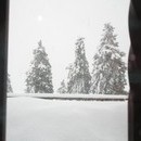 nurie_043_resize.jpg