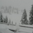 xavier_155_resize.jpg