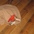 bojan_134_resize.jpg