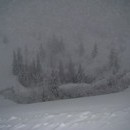 gintare_055_resize.jpg