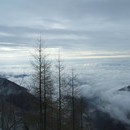 levan_037_resize.jpg