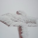 nurie_124_resize.jpg