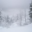 nurie_139_resize.jpg