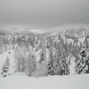 nurie_146_resize.jpg