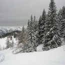 nurie_162_resize.jpg