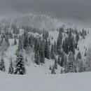 xavier_409_resize.jpg