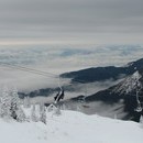 xavier_418_resize.jpg