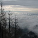 xavier_427_resize.jpg