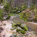heleri_018_resize.jpg