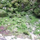 levan_058_resize.jpg
