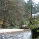 nurie_184_resize.jpg