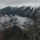 xavier_429_resize.jpg