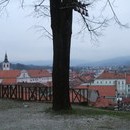 levan_106_resize.jpg