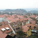 nurie_202_resize.jpg