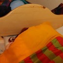 bojan2_306_resize.jpg